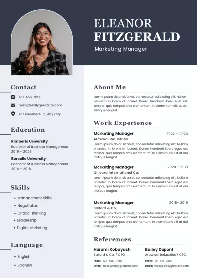 A CV in English