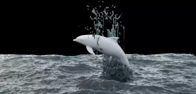 محاكاة طبيعية للمحيط