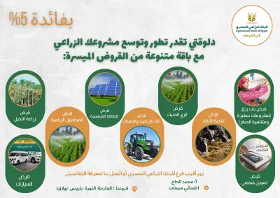 تصميم بروشورات إعلانية احترافية بتنسيق جذاب وألوان متناسقة