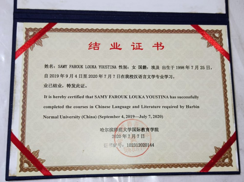 كتابة مقال  وترجمة من صيني لعربي او العكس