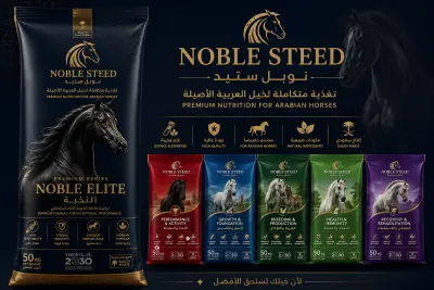 تصميم هوية بصرية وتغليف احترافي لأعلاف الخيول | Noble Steed