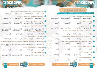 فري لانسر . تايبست . جرافيك ديزاينر