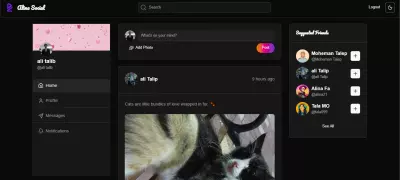 Alina Social – Social Media Web App