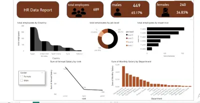 لوحة تحكم شاملة لتحليل بيانات الموارد البشرية (HR Data Report Dashboard) - التركيبة السكانية والتعويضات