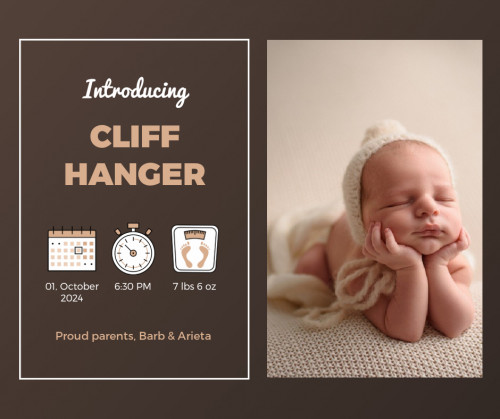 إعلانات علي السوشيال ميديا