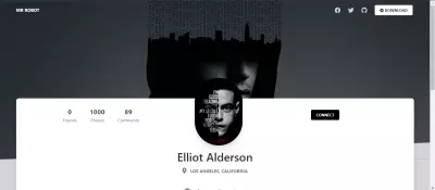 portfolio website