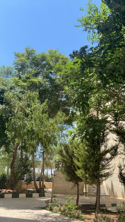 الاردن اربد