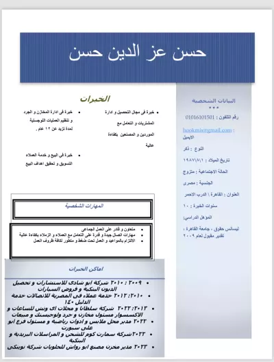 سيرة ذاتية احترافية