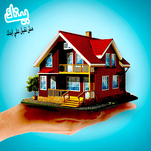 تصاميم سوشيال ميديا