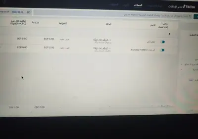 إدارة حملات إعلانية احترافية على تيك توك وفيسبوك
