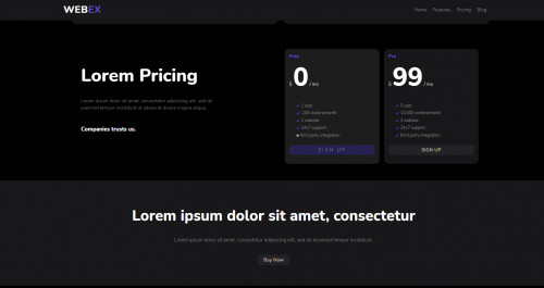 Web Design