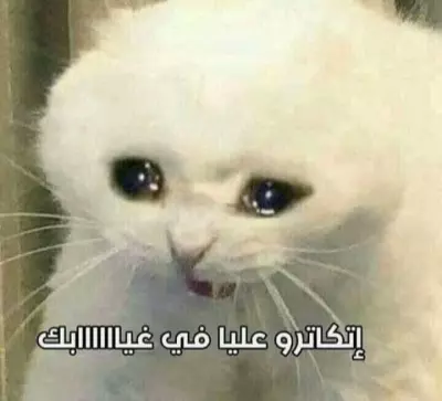 تصميم ملصقات و تعليقات صوتيه و كتابة و اقتباسات