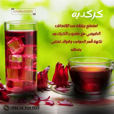 تصميم البوستات والمنشورات