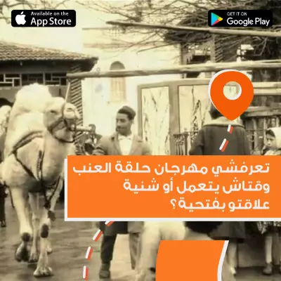 إنشاء محتوى بصري لتطوير الحضور الرقمي لشركة دوربيا