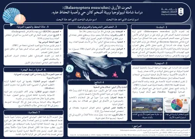تصميم بوسترات علمية وأكاديمي إحترافية