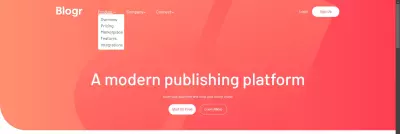 صفحة هبوطlanding page