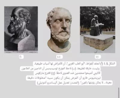 البلد سوريا العاصمة حلب