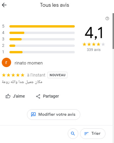 تقييم غوغل ماب
