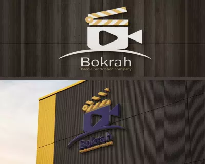 Professional Logo Design