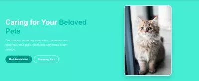 Vet4Pet website