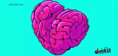 كتابة مقالة بعنوان: ما هو مفهوم Sapiosexual