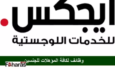 كتابة مقال بعنوان: رواتب شركة ايجكس