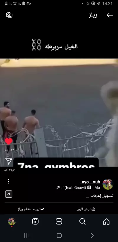 المغرب سيد زوين مراكش