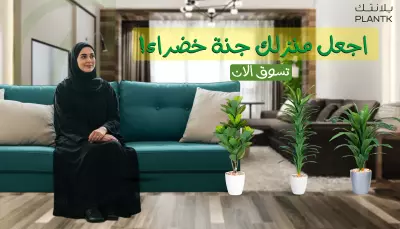 تصميمات لشركة بلانتك للاشجار