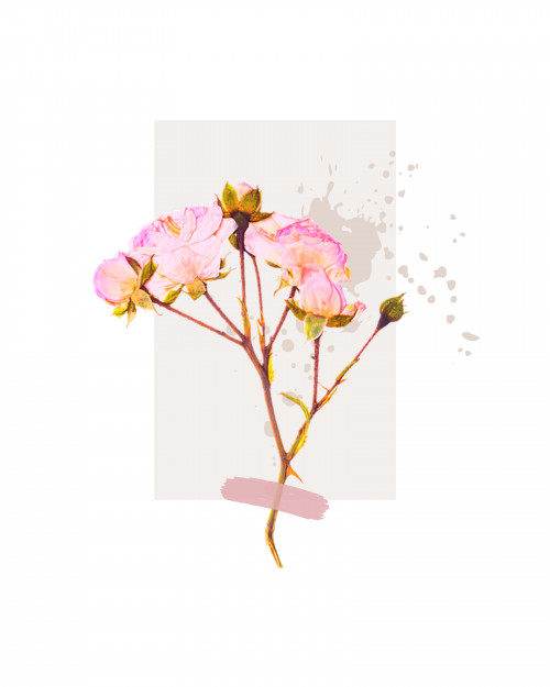 التصميم والتسويق