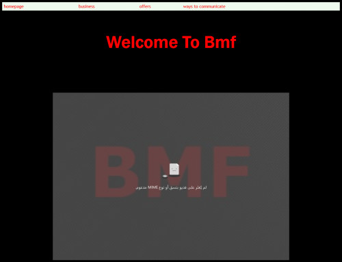 bmf company project 1