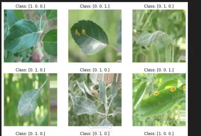 Plant Disease Classification | تصنيف أمراض النباتات