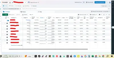 Case Study 06 - Meta Messaging Campaign