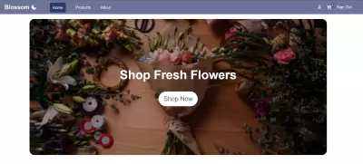 e-commerce website