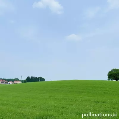 عمل موقع لحجز التذاكر