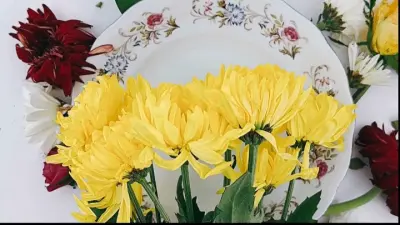 برومو إماراتي لأحد متاجر الورد الإلكترونية