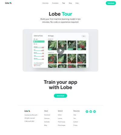 Lobe Tour project