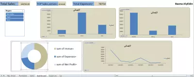 Sales data analysis by Excel