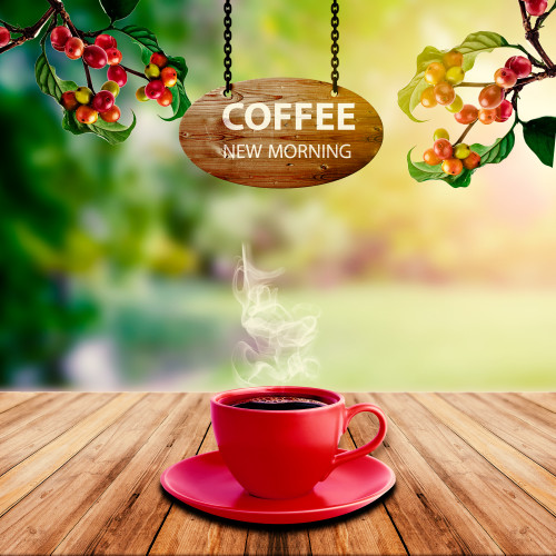 تصاميم سوشيال