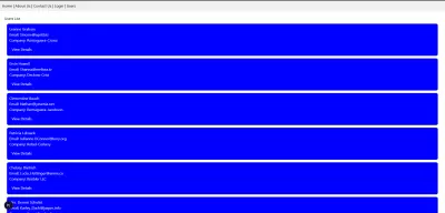 Next.js Project