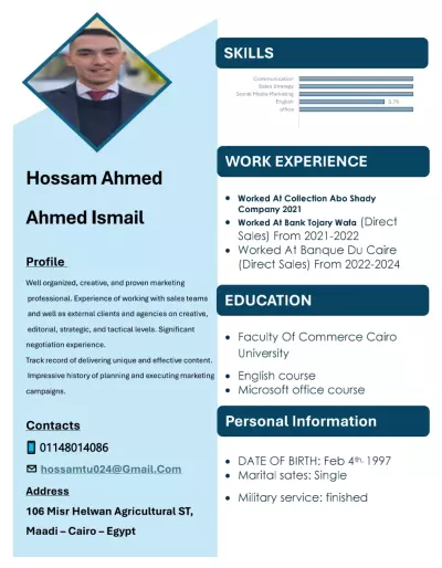 Making a professional CV