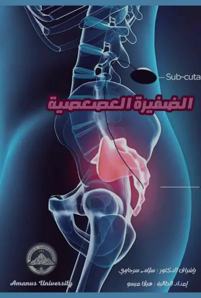 بحث الضفيرة العصعصية