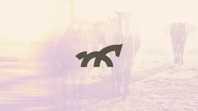 Your Horse Match | Logo & Identity Design