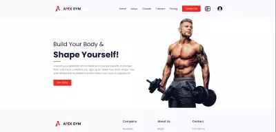 Apex Gym - website