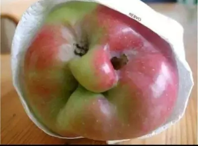 صور احترافي  اا