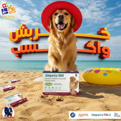 عيادة الدكتورة أميرة الخياط بمصر