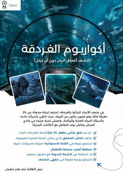 تصميم ملفات PDF احترافية باستخدام Canva (مطويات، دورات، عروض، توزيعات)  العنوان لازم يكون: 	•	واضح 	•	قصير 	•	فيه كلمات يبحث عنها العميل (زي: PDF، تصميم، Canva، مطويات…)