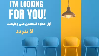 إنشاء وتصميم سيرة ذاتية احترافية