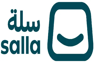 تحليل البيانات المالية الخاصة بمتجر سلة