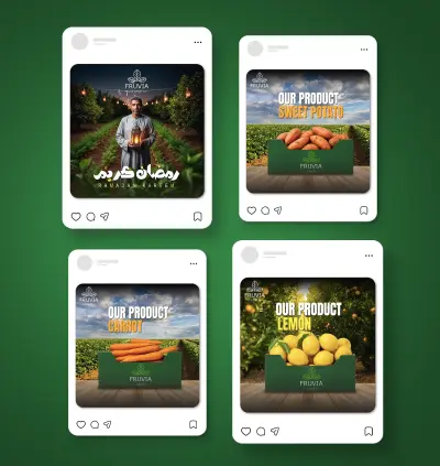 Social Media Post Design