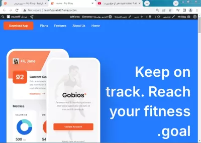 Example website